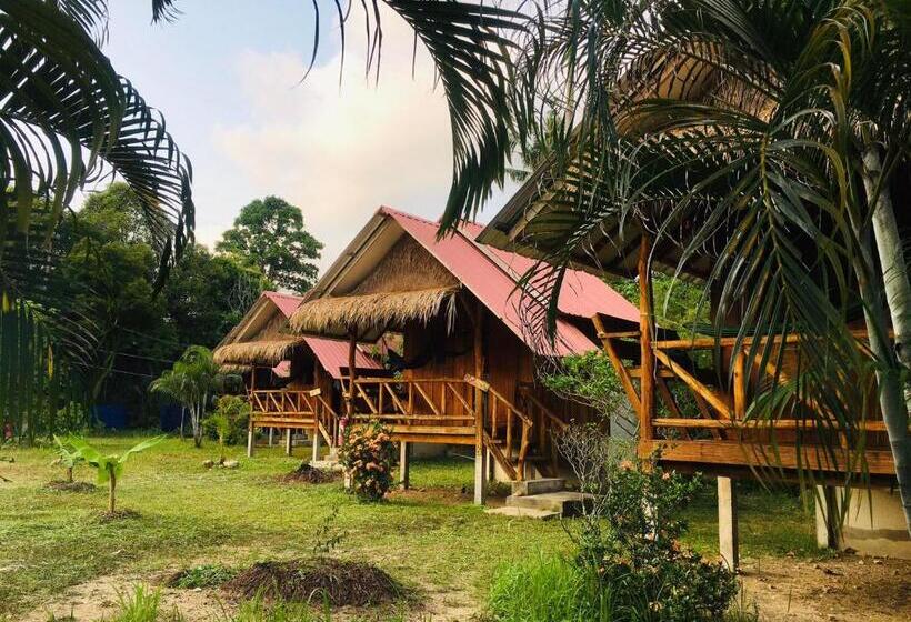 스탠다드 방갈로, Seree Bungalows