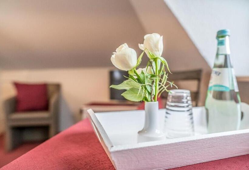 스탠다드 싱글 룸, Pension Wosmaaren