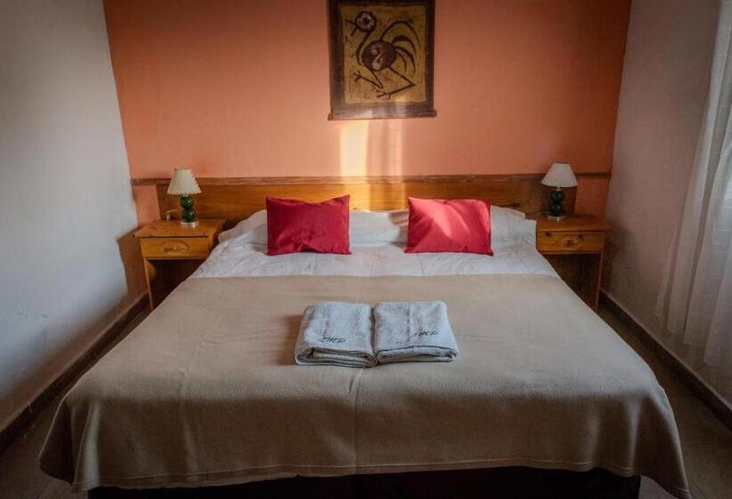 Номер Стандарт, La María Paloma