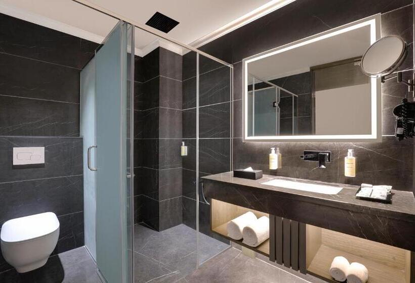 غرفة سوبيريور, Lemon Tree Hotel, Hisar