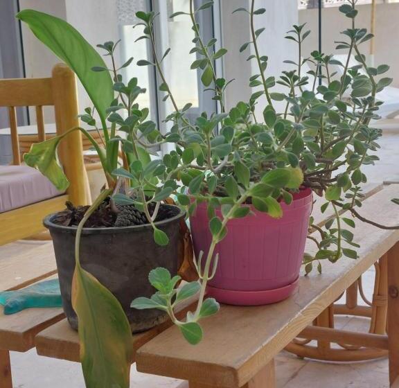 デラックスルーム, Nayah Boutique Stays