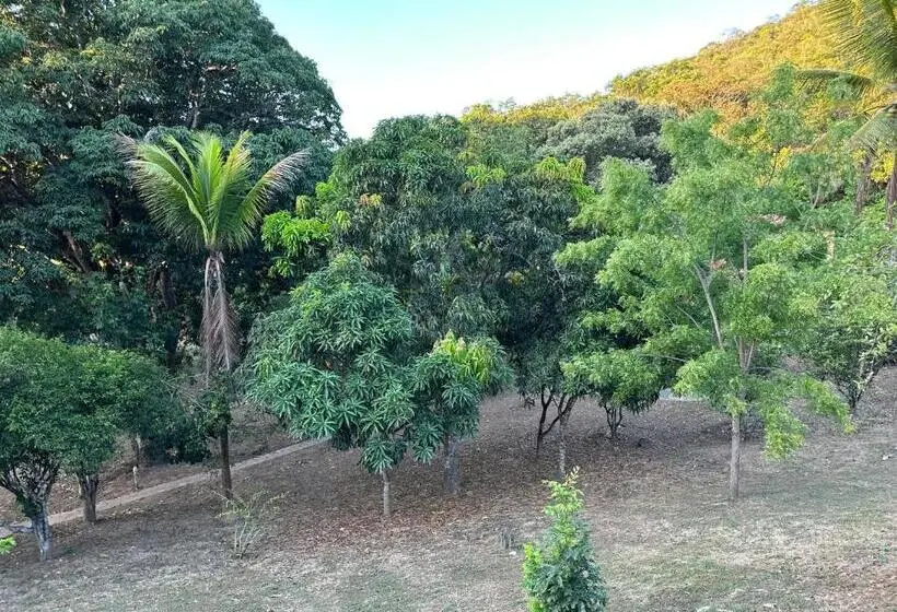 バルコニー付き１ベッドルームアパートメント, Encanto Do Parque Hospedagem