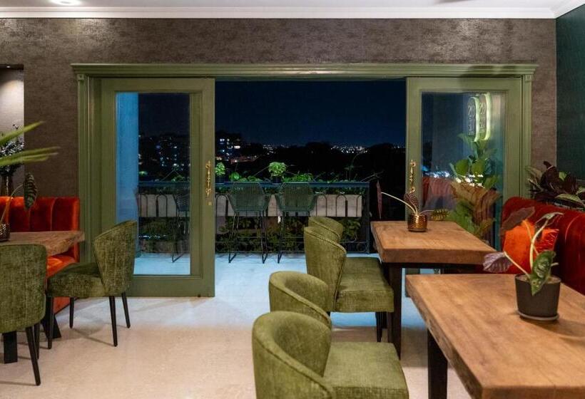 豪华套房, Osvé Boutique Cali