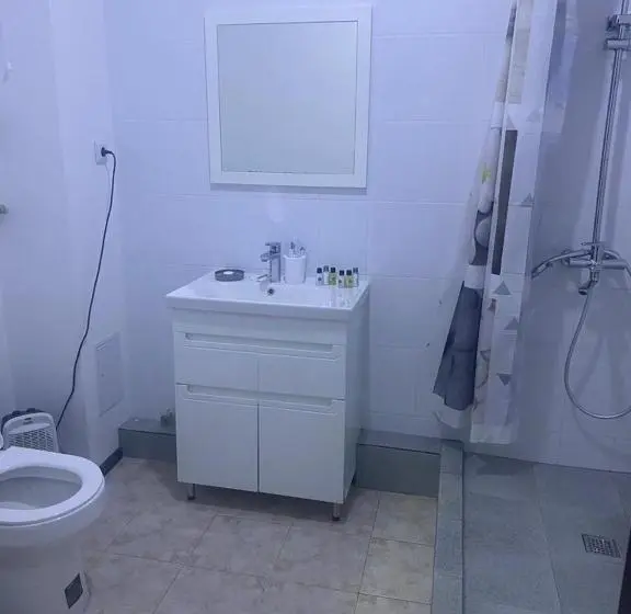 اتاق استاندارد, Shygys_