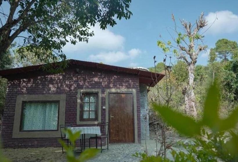 Pokój Standard, Books And Birds