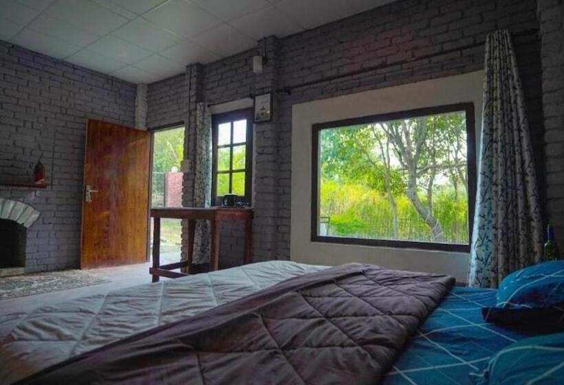 Pokój Standard, Books And Birds