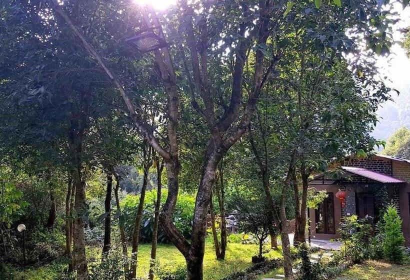 1 Bedroom Villa Garden View, Books And Birds