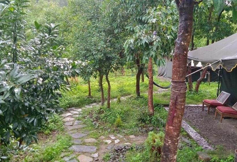 1 Bedroom Villa Garden View, Books And Birds