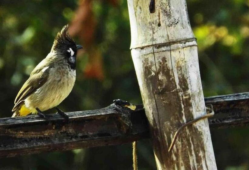 1 Bedroom Villa Garden View, Books And Birds