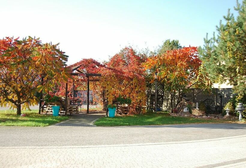 غرفة بيزنس, Amigo