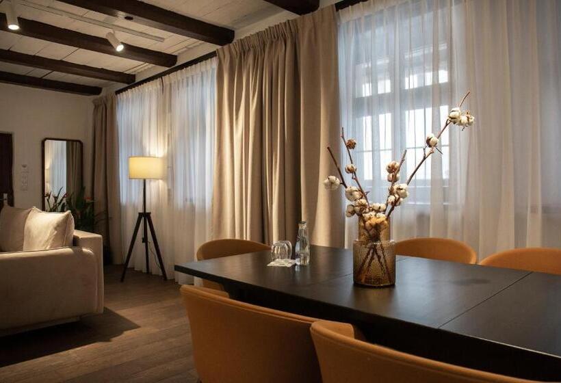 آپارتمان 1 خوابه, Apartamenty Sowa Toruń