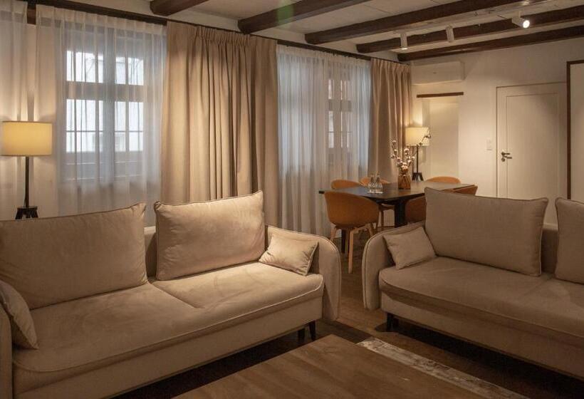 آپارتمان 1 خوابه, Apartamenty Sowa Toruń