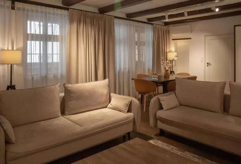 آپارتمان 1 خوابه, Apartamenty Sowa Toruń