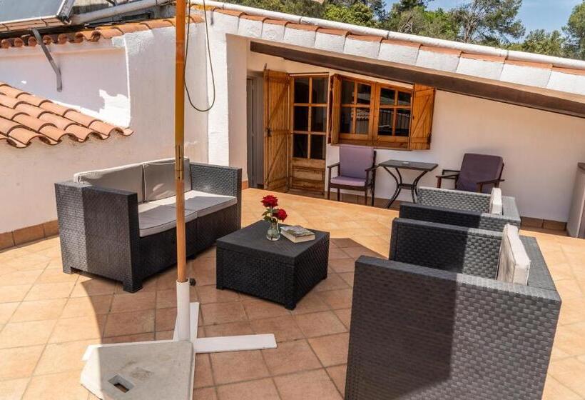 Студио Стандарт с Террасой, Can Rosich