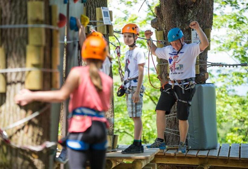 اتاق استاندارد, Celjska Koca