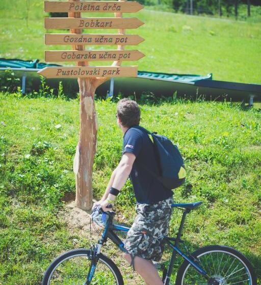 آپارتمان 1 خوابه, Celjska Koca