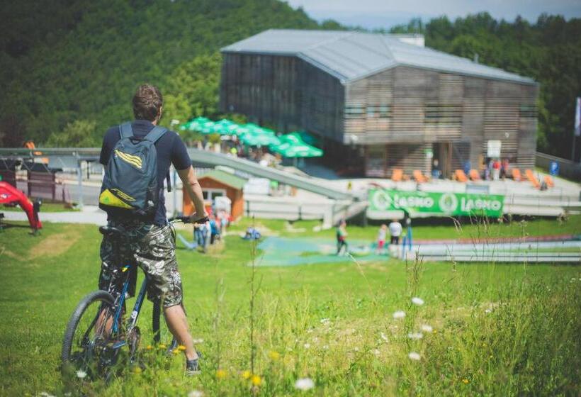 اتاق خانوادگی, Celjska Koca