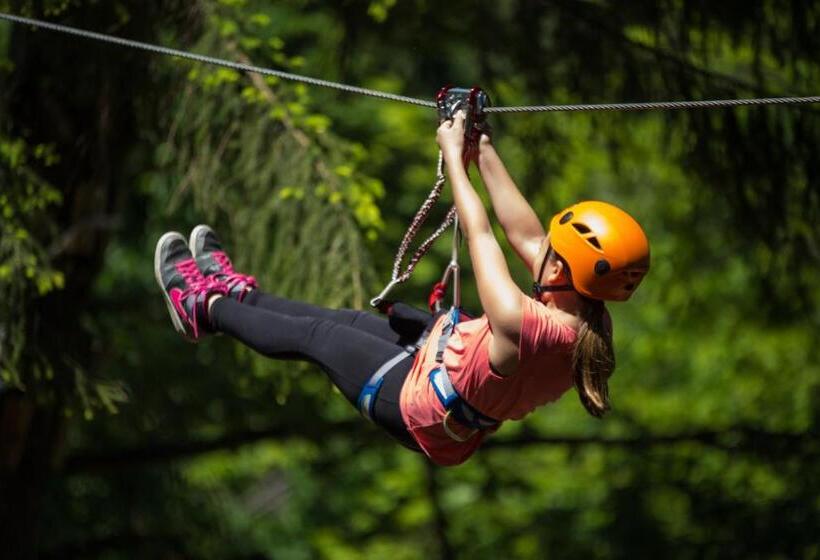 اتاق استاندارد, Celjska Koca