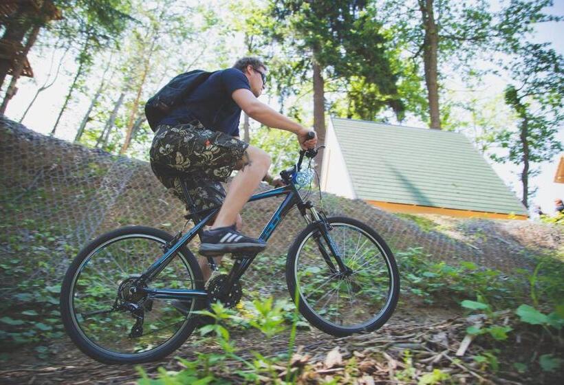 اتاق خانوادگی, Celjska Koca