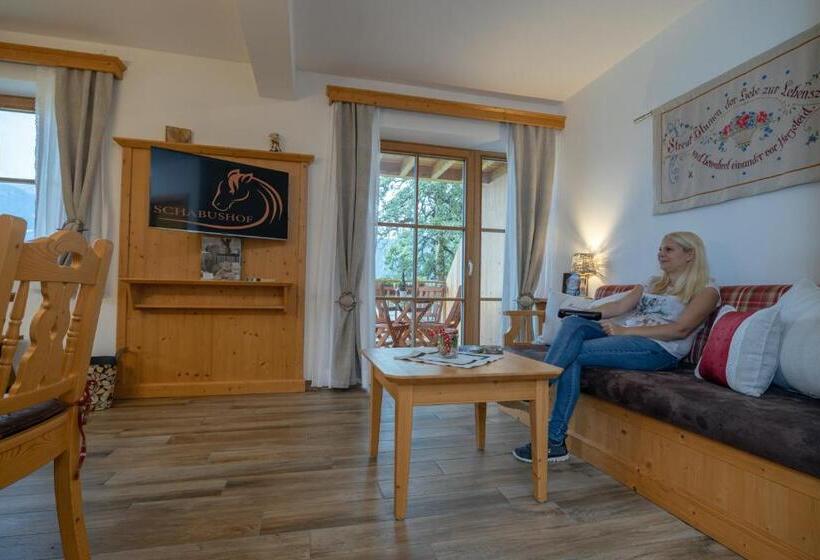 דירת 2 חדרים עם טרסה, Historischer Bauernhof Schabus