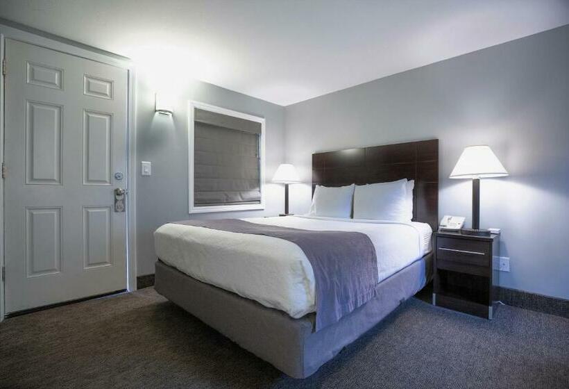 غرفة ديلوكس, Mt Madison Inn & Suites