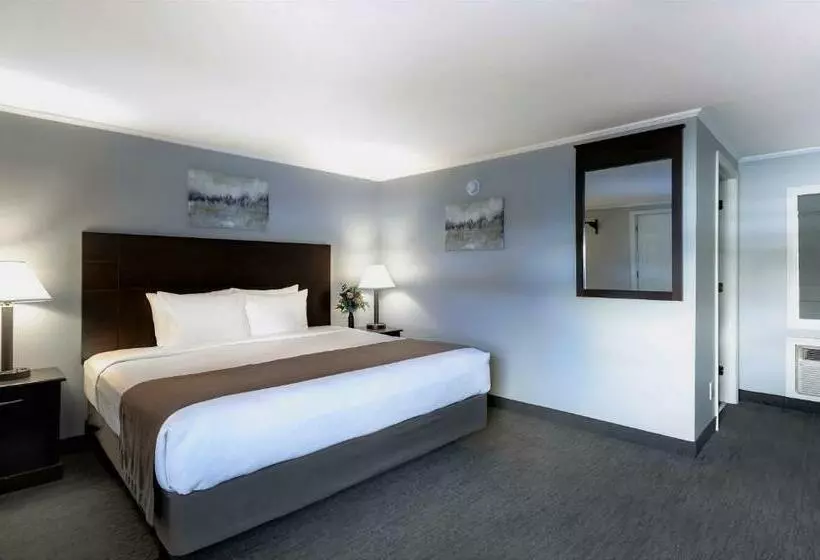 キングサイズベッドのスタンダードルーム, Mt Madison Inn & Suites