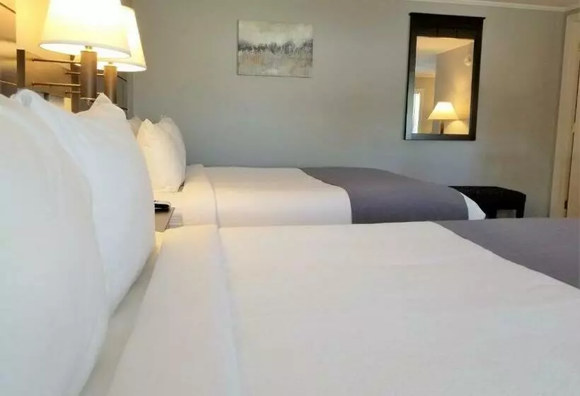 スタンダードルーム, Mt Madison Inn & Suites
