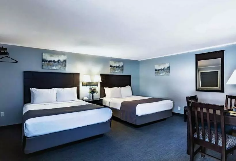スタンダードルーム, Mt Madison Inn & Suites