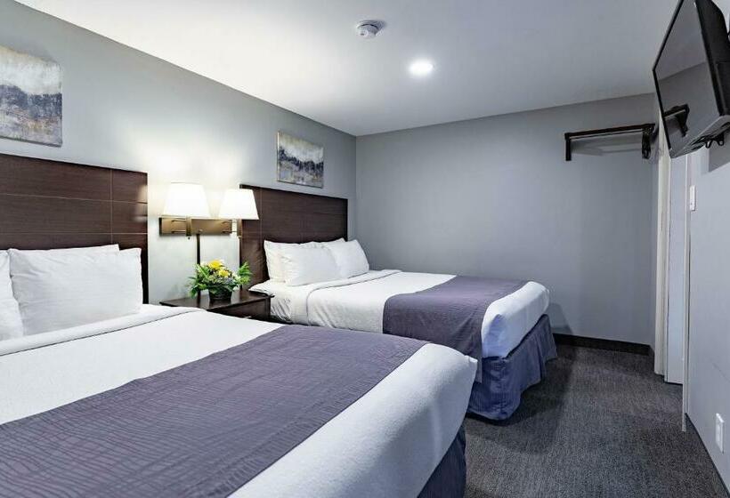 Family Suite, Mt Madison Inn & Suites