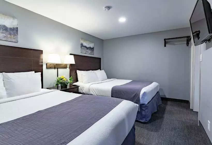 スイート（家族用）, Mt Madison Inn & Suites