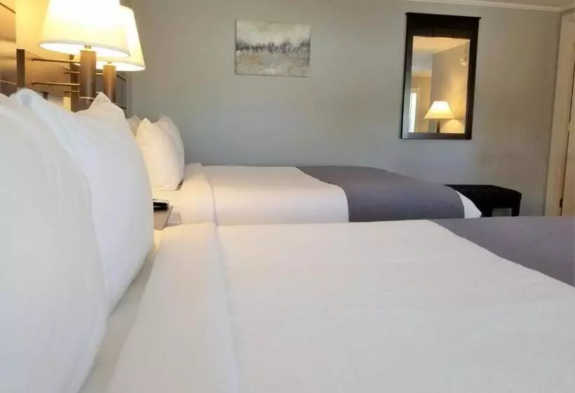 プレミアムルーム, Mt Madison Inn & Suites