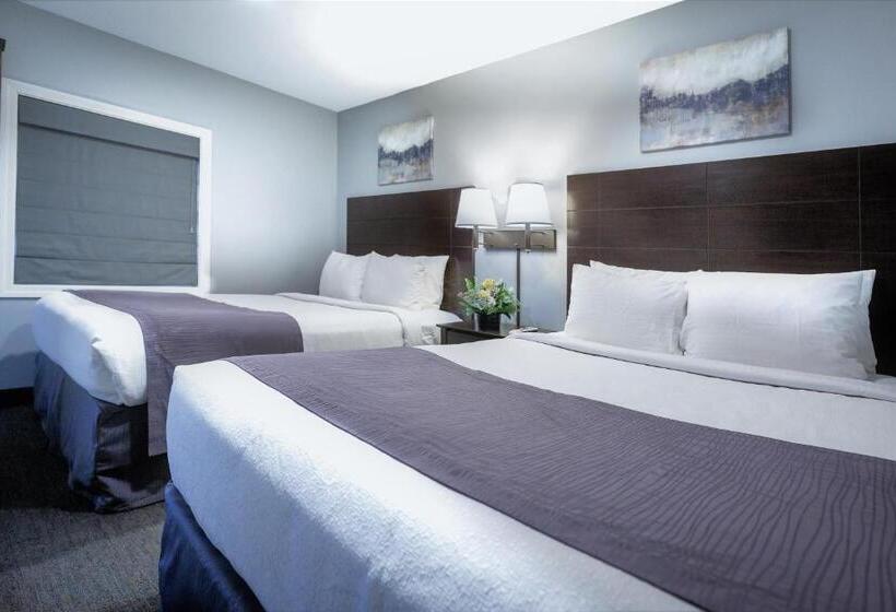 Номер Deluxe, Mt Madison Inn & Suites