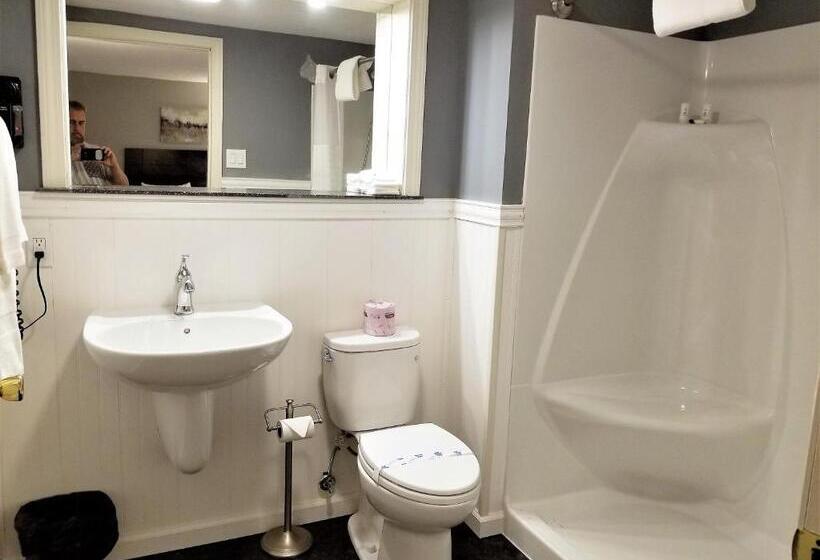 غرفة قياسية لذوى الاحتياجات الخاصة, Mt Madison Inn & Suites