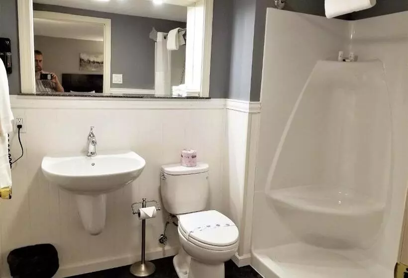 身障者適用スタンダードルーム, Mt Madison Inn & Suites
