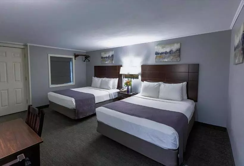身障者適用スタンダードルーム, Mt Madison Inn & Suites