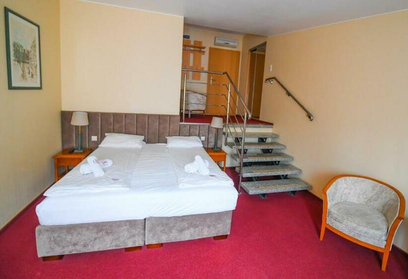 آپارتمان 1 خوابه, Pensjonat Fitness & Spa Gregor