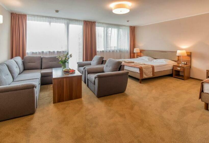 غرفة سوبيريور, Polanica Resort & Spa