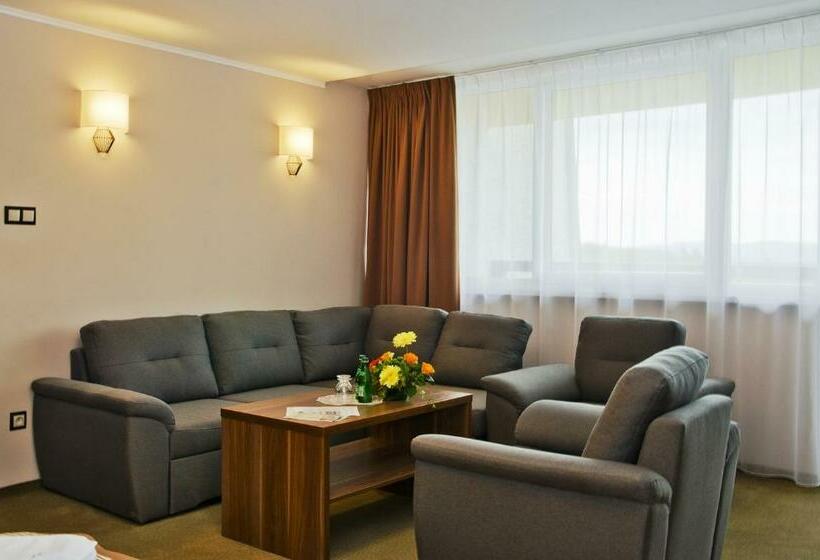 Номер Superior, Polanica Resort & Spa