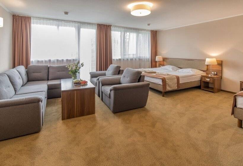 غرفة سوبيريور, Polanica Resort & Spa