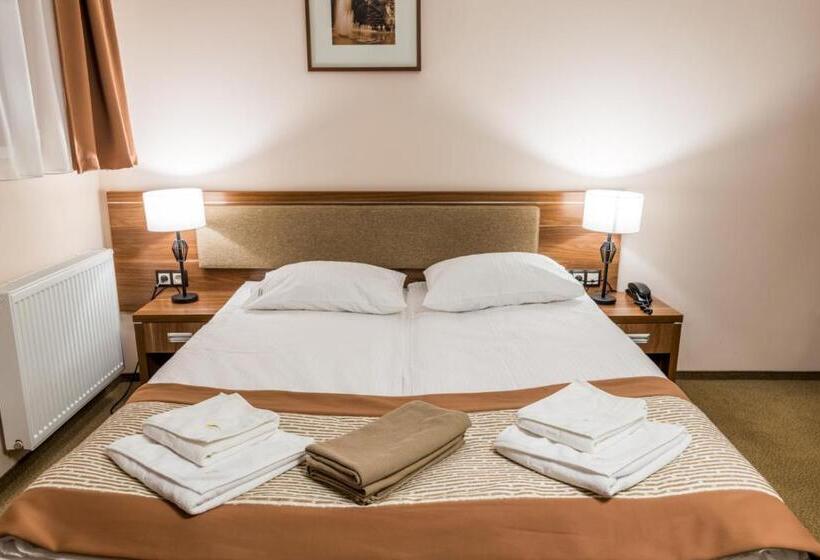 غرفة قياسية, Polanica Resort & Spa