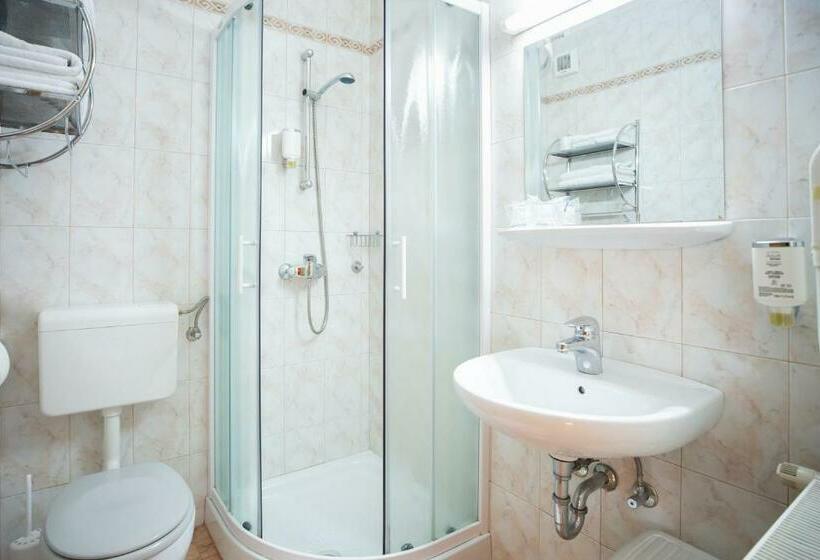 Pokój Standard Jednoosobowy, Nature Hotel Lukanc