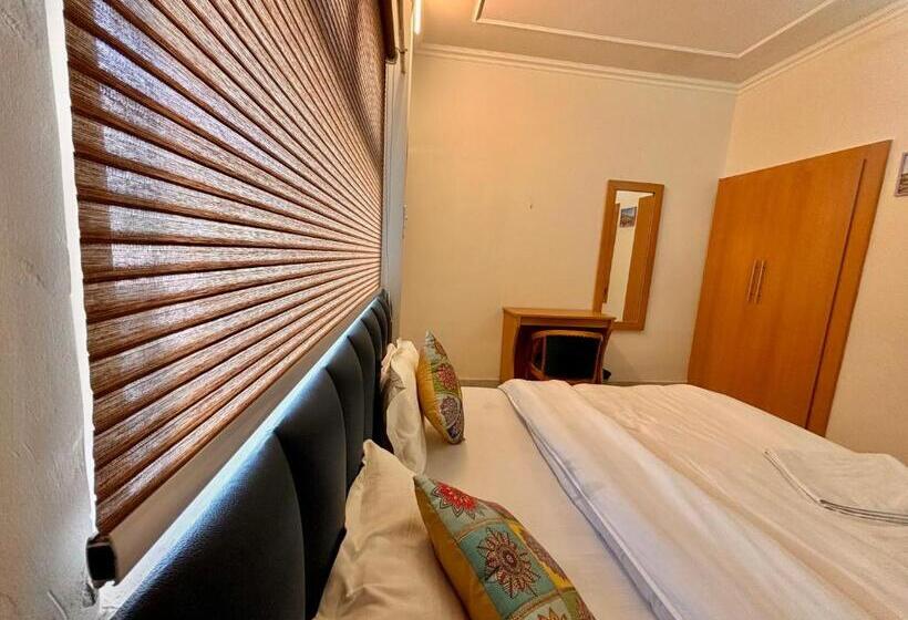 غرفة ديلوكس, Sailani Lostels