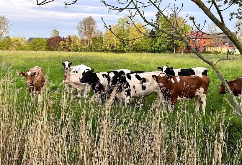 Номер Deluxe, Wattkante B&b