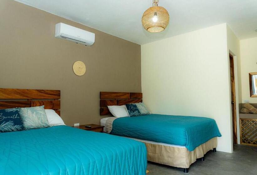 اتاق استاندارد, Gecko