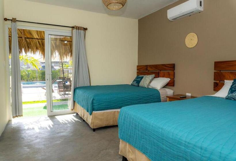 اتاق استاندارد, Gecko