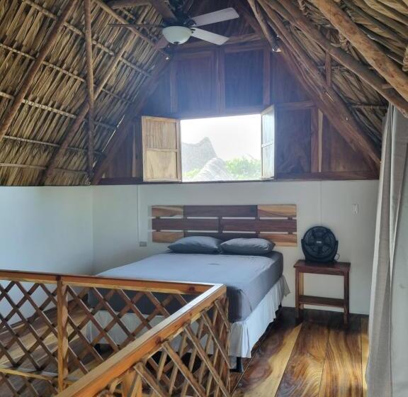 استودیو استاندارد با بالکن, Gecko