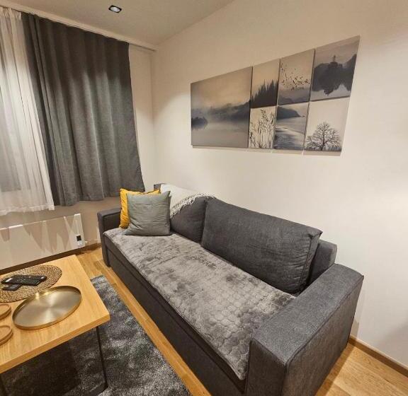 آپارتمان 1 خوابه با چشم‌انداز, Zlatni Javor, Apartment 408