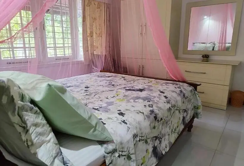 スタンダードルーム, Boztreve Home