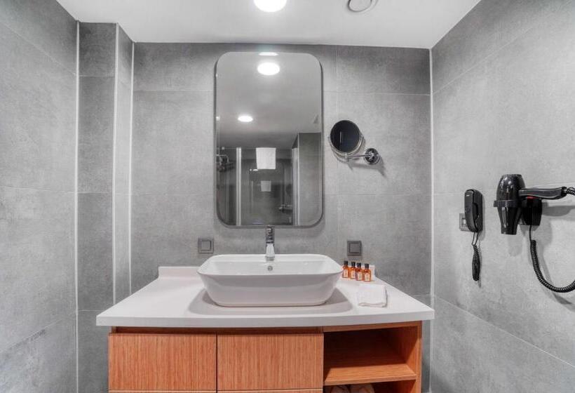 سوئیت جونیور با چشمانداز باغ, Ibos Hotels Izmir Alsancak