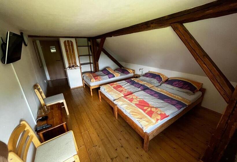 חדר סופריור לשלושה, Penzion Za Potokem